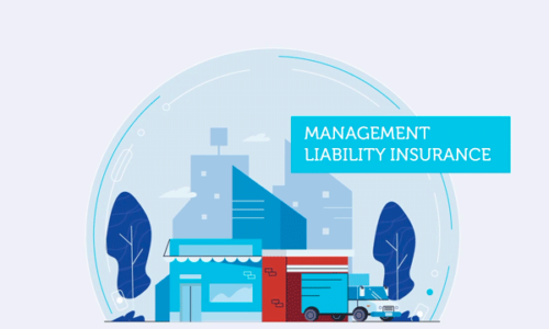 Steadfast - Management Liability Insurance